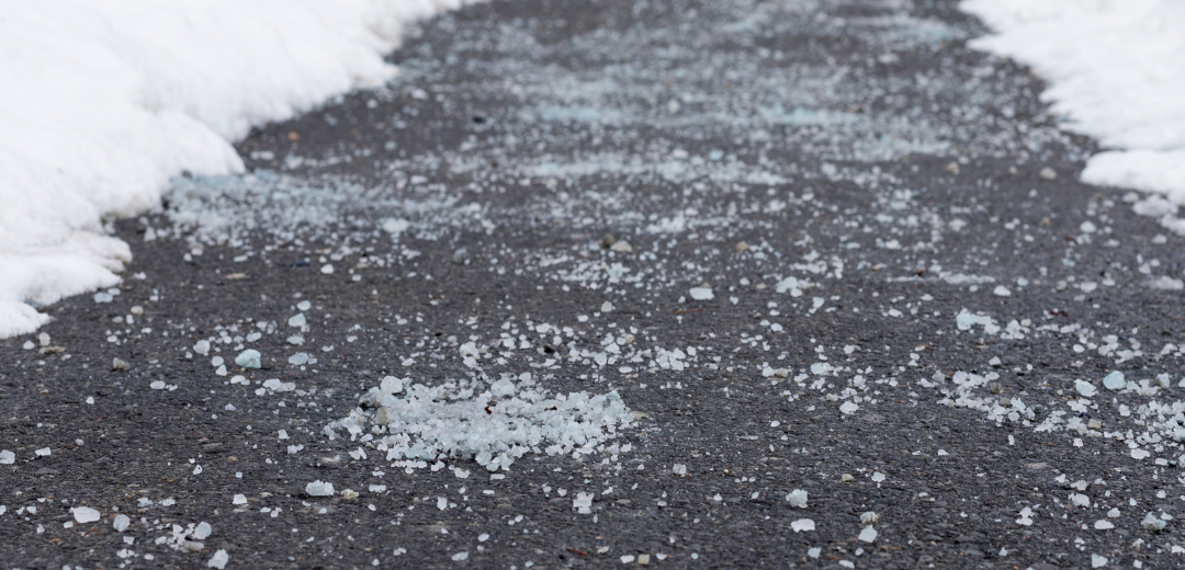 A black walkway cleared of snow, with a layer of road salt applied along the path, surrounded by snow on either side.