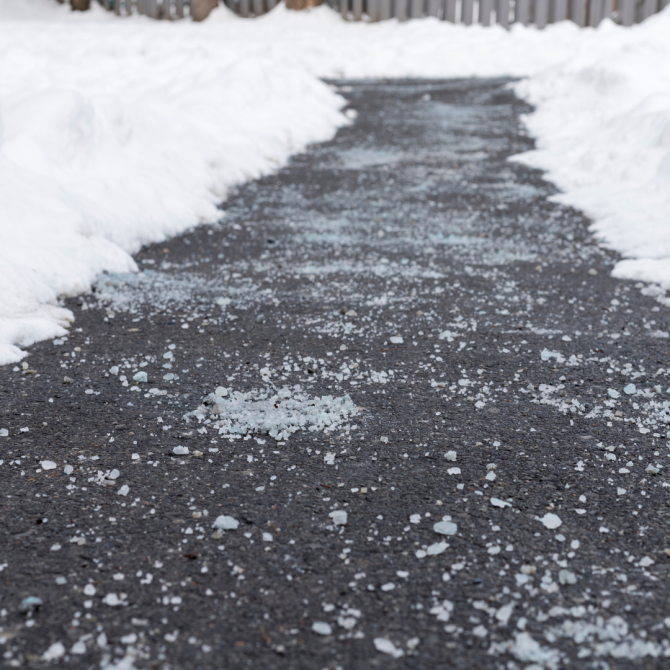 A black walkway cleared of snow, with a layer of road salt applied along the path, surrounded by snow on either side.