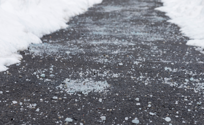 A black walkway cleared of snow, with a layer of road salt applied along the path, surrounded by snow on either side.